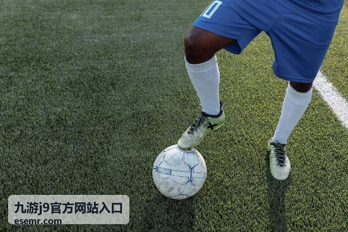九游j9官方网站入口排行榜第三条封面