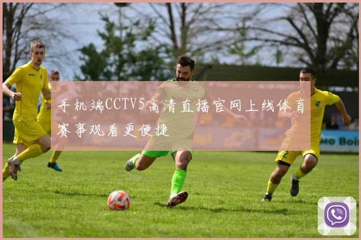 手机端CCTV5高清直播官网上线体育赛事观看更便捷