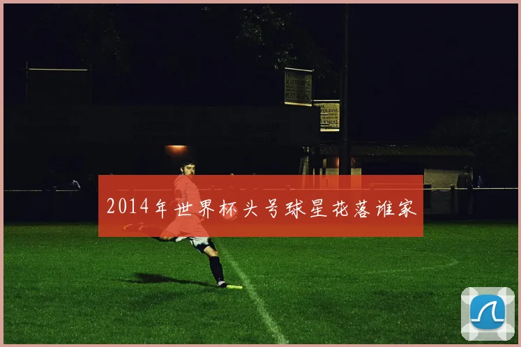 2014年世界杯头号球星花落谁家