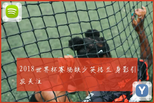 2018世界杯赛场缺少英格兰 身影引发关注